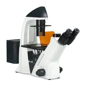 Microscopio de fluorescencia biológica <span class=keywords><strong>trinocular</strong></span> de laboratorio de contraste de fase 200 x - Product Image 1