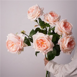 Rosas de Látex de Alta Calidad al por Mayor, Flores Artificiales con Tacto Real, <span class=keywords><strong>Rosa</strong></span> Blanca Austin <span class=keywords><strong>Juliet</strong></span> para Decoración de Bodas y Hogar - Product Image 3