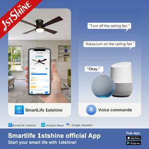 1stshine Ventilateur de plafond Flush Fancy LED Lighting Télécommande à économie d'énergie Ventilateur de plafond de 48 pouces avec télécommande - Product Image 6