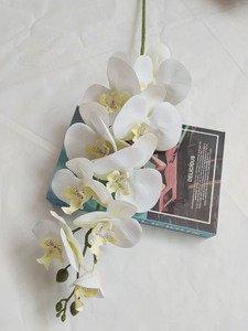 Fleurs <span class=keywords><strong>d</strong></span>écoratives en latex naturel écologique, aspect réaliste, grande taille, orchidée Phalaenopsis, tige en soie en vrac - Product Image 4