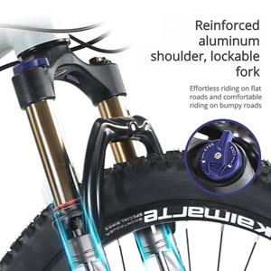 アルミ合金ソフトテールマウンテンバイク30速デュアルショック吸収大人10代通勤オフロードバイクライド - Product Image 5