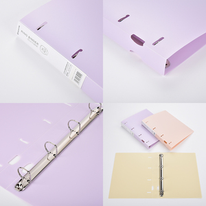 Đa-màu Văn Phòng TrườNg tài liệu tập tin biểu tượng tùy chỉnh PP Hội Đồng Quản trị bọt bìa cứng A4 <span class=keywords><strong>A5</strong></span> Nhẫn Clip chất kết dính thư mục - Product Image 2