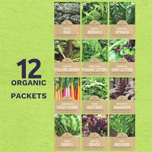 Orgánica Saludable Verdes Semences 2025 Temporada Variedad Paquete 12 Macetas individuales para <span class=keywords><strong>acelga</strong></span> Suiza Interior Exterior Plantación sin OGM - Product Image 2