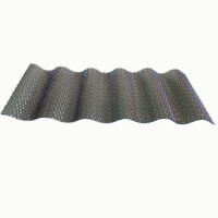 Feuille ondulée gaufrée de polycarbonate
