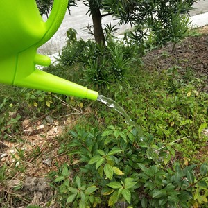 <b>Watering</b> <b>Can</b> 5L <b>10L</b> Plastic Dual Purpose For Garden Planting Vegetables - Product Image 3