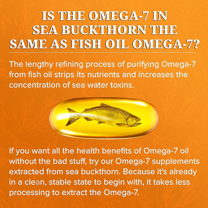 Fabricante de Suplementos Nutracéuticos Omega 7, Aceite de Espino Amarillo para Apoyar la Salud de la Piel y las Uñas, Omega 7 en Cápsulas Blandas - Product Image 3