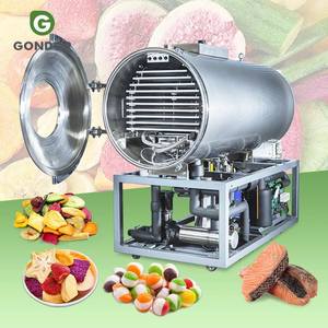 Máquina Liofilizadora al Vacío para Hierbas, Flores, Vegetales, Pescado, Carne y Sopas, para la Producción de Cubos Secos - Product Image 1