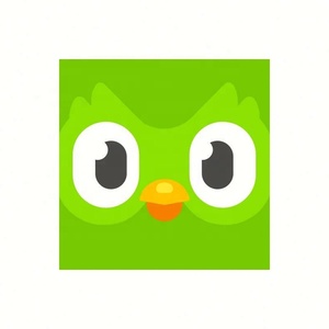 บัญชี Duolingo Pro ระดับพรีเมียม 1 ปี ใช้ได้ทั่วโลก เปิดใช้งานบัญชีของคุณเอง - Product Image 4
