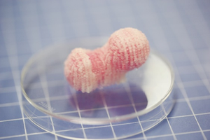 Imprimante 3D biologique à 4 buses, <span class=keywords><strong>prix</strong></span> bas - Product Image 5