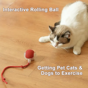 Juguete Interactivo Inteligente para Gatos, Alfombra Rodante Indestructible con Bola de Silicona y Accesorios de Cola, Juguete Duradero para Mascotas - Product Image 4
