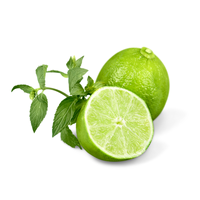 Exportation de citron sans graines/citron vert sans pépins à prix compétitif du Viet Nam pour l'exportation 2023 VIETNAM AGRICULTURE Marque