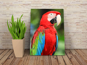 <span class=keywords><strong>แผ่น</strong></span><span class=keywords><strong>อลู</strong></span><span class=keywords><strong>มิ</strong></span><span class=keywords><strong>เนียม</strong></span>สำหรับงานซับลิเมชั่น ขนาด A3 A4 ปรับแต่งได้ - <span class=keywords><strong>แผ่น</strong></span>โลหะคุณภาพสูงสำหรับการถ่ายโอนภาพ - Product Image 4