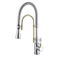 Robinet de cuisine de luxe doré à rotation 360° avec douchette extractible, double tuyau en laiton, multifonctionnel, à ressort, pour eau chaude et froide BG1007
