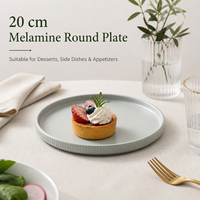 Assiette Ronde Plate en Mélamine Écologique Gris Mat Incassable Compatible Lave-Vaisselle 50 Pièces pour Restaurant Hôtel Fête
