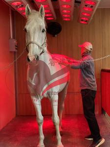 <span class=keywords><strong>Solarium</strong></span> de infrarrojos para caballos de grado veterinario: Equipo para acelerar la curación y la relajación muscular - Product Image 5