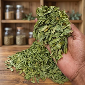 Feuilles de Séné Cassia Angustifolia Séchées, Feuilles de Thé Herbal Cassia Angustifolia, Infusion de Feuilles Coupées de Cassia Angustifolia - Product Image 2