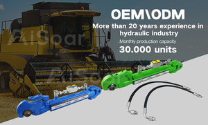 Silinder Hidrolik Top Link Traktor Loader Cat Kualitas Terbaik Silinder Hidrolik Promosi - Product Image 5