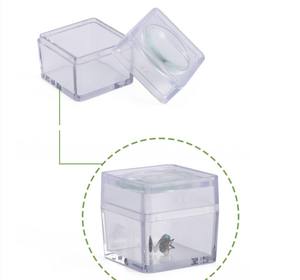 Timbre-monnaie petit insecte observation carré couvercle supérieur et inférieur boîte loupe - Product Image 2