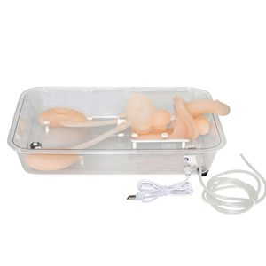 Modelo de Simulación para Entrenamiento en Ureteroscopia - Herramienta de Práctica de Endoscopia del Tracto Urinario para Educación Médica - Product Image 2