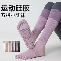 Chaussettes Yoga Pilates en coton de haute qualité avec tache antidérapante Chaussettes longues à 5 doigts