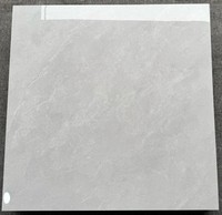Carreaux de porcelaine durables résistants aux rayures pour les zones à fort trafic Carreaux d'intérieur modernes pour les centres commerciaux Villas Antidérapants