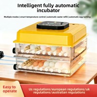 [Nueva Llegada] Incubadora de Huevos China, Máquina Compacta para Incubar Huevos de Uso Doméstico, Sin Control de Humedad, para Pollos, Patos y Gansos