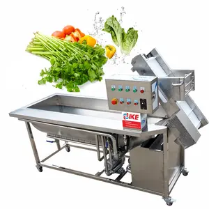 IKE bitki yıkama ekipmanları sebze yüksek basınçlı çamaşır makinesi otomatik teknik lahana yıkayıcı sağlanan 1 birim