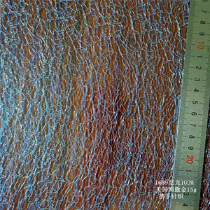 100% <span class=keywords><strong>polyester</strong></span> hiện đại nhện lưới vải sheer trắng in <span class=keywords><strong>net</strong></span> cho hàng may mặc chống tĩnh không dệt cho cô gái - Product Image 6