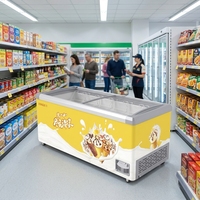 Congelador Comercial para Exhibición de Alimentos Congelados con Tapa de Vidrio Curvo para Aplicaciones Comerciales