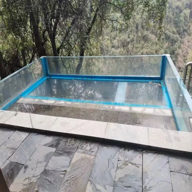 Piscina grande exterior transparente de parede acrílica para piscina em forma de S