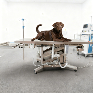 Mesa <span class=keywords><strong>de</strong></span> Operaciones Veterinaria Plegable Eléctrica <span class=keywords><strong>de</strong></span> Acero Inoxidable para Exámenes <span class=keywords><strong>de</strong></span> <span class=keywords><strong>Rutina</strong></span>, en Oferta - Product Image 1