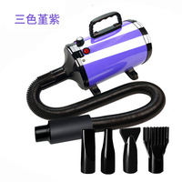 Sèche-cheveux professionnel puissant et écologique pour animaux de compagnie, souffleur d'eau pour chiens, vent chaud, séchage rapide, rechargeable, pour toilettage des animaux
