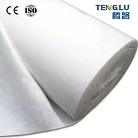 Rouleau de géotextile non tissé à longs fibres 150g-800g pour systèmes de drainage et protection des pentes