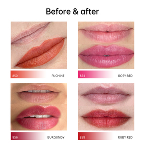 Microblading Permablend Sắc Tố Trang Điểm Vĩnh Viễn Môi Hình Xăm Mực Trang Điểm Vĩnh Viễn Sắc Tố - Product Image 2