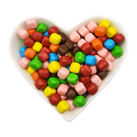 Suikerpoeder bedekte chocolade jelly bean met krokante schaal, fruit smaak, speelgoeddesign, ISO/HACCP gecertificeerd, aanpasbaar, groothandel in bulk