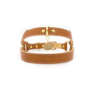 Sản Phẩm Cho Chó Mới Dây Nịt Thú Cưng 2022 Dây Nịt Chó Tùy Chỉnh Bằng Da Thật Thiết Kế Sang Trọng Của Nhà Sản Xuất - Product Image 6