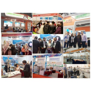 โมเดล ADA-A300สอนวิทยาศาสตร์การแพทย์แบบสองเพศโมเดลกายวิภาคของมนุษย์แบบเปิดหลัง85ซม. 27ส่วน - Product Image 6