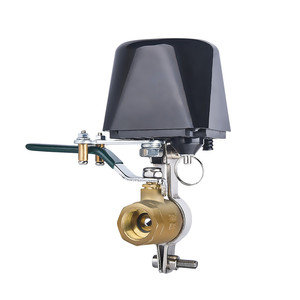 Van Điện Thoại Thông Minh Tuya WIFI, Điều Khiển Từ Xa Không Dây Van Nước/Van Gas Chuyển Đổi Để Kiểm Soát Tưới Vườn - Product Image 2