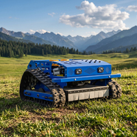 Livraison gratuite, tondeuse à gazon robotisée télécommandée tout-terrain homologuée CE EPA, tondeuse à gazon robotisée pour jardin