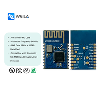 Module sans fil BLE basse énergie WKB5010 SIG MESH pour jeux/médical/portable/fitness/clavier/souris