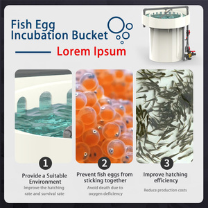 Lồng ấp trứng cá Tilapia bằng nhựa, máy ấp trứng cá nhỏ, lọ ấp trứng cá Tilapia, máy ấp trứng cá, máy ấp cá con - Product Image 3