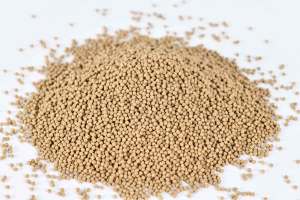 อาหารเต่าลูกพันธุ์พรีเมียม Porpoise - สูตรสาหร่ายสไปรูลิน่าและคริลล์ สำหรับเต่า<span class=keywords><strong>ลูก</strong></span>น้ำและกึ่งน้ำ ขนาด 10 กก. - Product Image 3