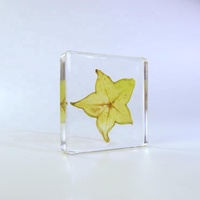 Echte Plant Specimen Blok Kristalhars Transparant Hars Decoratie Ontwerp Droog Fruit Plakjes Specimen