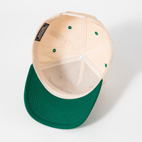 Casquette de baseball structurée à 5 panneaux avec logo brodé bicolore tendance