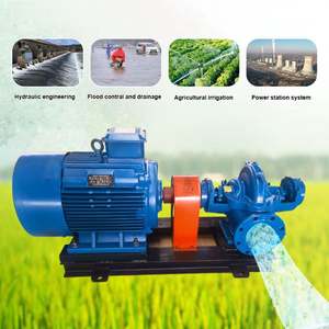 Pompe à double aspiration horizontale à corps fendu en fonte de 10 pouces, à haut débit et haute pression, pour l'irrigation et l'agriculture - Product Image 3