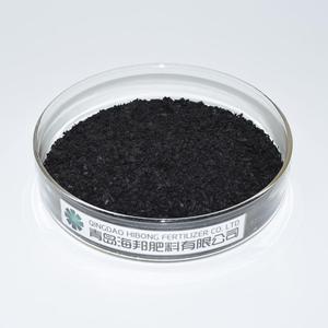 Nhanh chóng Hữu Cơ ascophyllum nodosum rong biển chiết xuất <span class=keywords><strong>Flake</strong></span> màu đen hoặc nâu bột cho nông nghiệp sử dụng - Product Image 1