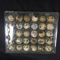 Cartons d'oeufs de caille transparents personnalisables pour usage agricole 30mm de diamètre avec 12 24 30 trous Conteneur d'oeufs de caille en plastique