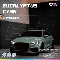 Film de covering automobile PET ultra-brillant effet eucalyptus cyan, sans bulles d'air, à changement de couleur, vente chaude, direct usine