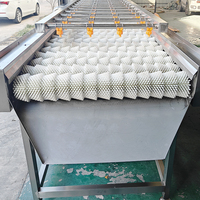 YOUBAN Industriële Borstelwasmachine Automatische Wortelgroentereiniger Cassave Gember Aardappel Wortel Was- en Schilapparatuur