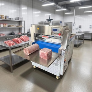 Máquina Cortadora Industrial para Fábrica de Alimentos, Trancheuse Industrielle para Carne - Product Image 3
